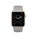 Apple Watch Series 1, 38mm Gold Aluminium Case with Concrete Sport Band