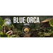 Blue Orca Fusion Peru Fazenda Verde, zrnková káva, 1 kg, Arabica/Robusta (75/25 %)