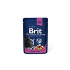 Brit Premium Cat kapsa losos+pstruh 100g