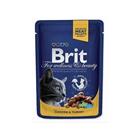 Brit Premium Cat kapsa with Chicken & Turkey 100g