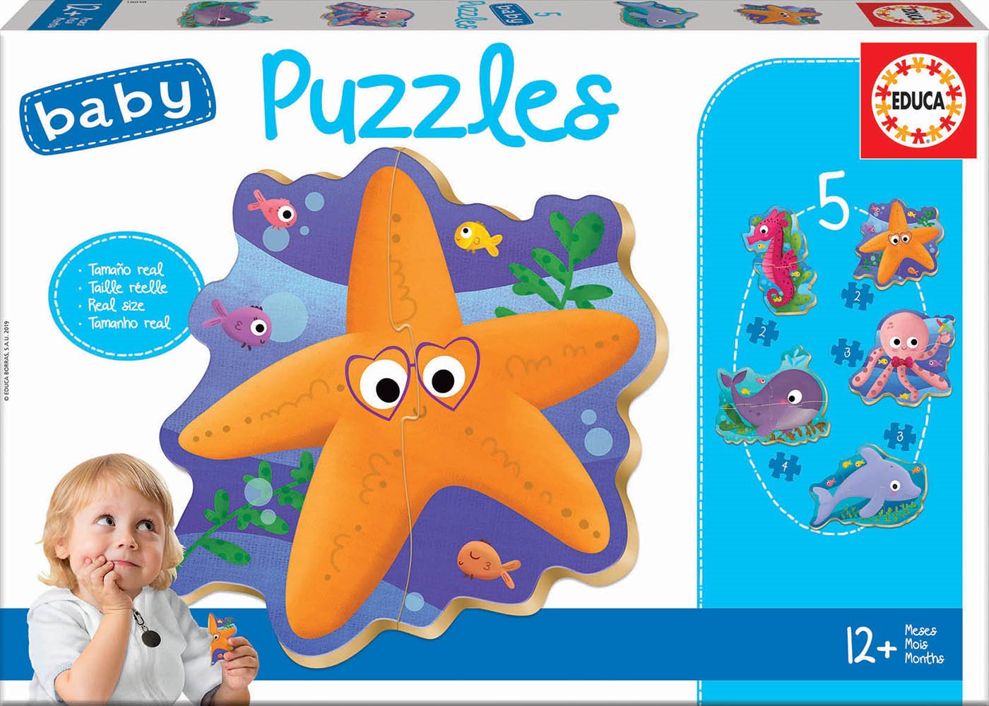 EDUCA Baby puzzle Podvodní svět 5v1 (2-4 dílky)