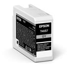 Epson Singlepack Gray T46S7 Ultrachrome C13T46S700 - originální