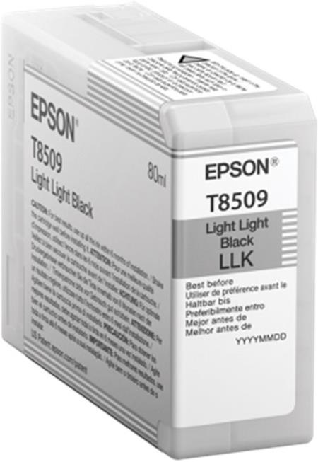 Epson Singlepack Photo Light Light Black T850900 UltraChrome HD ink 80ml C13T850900