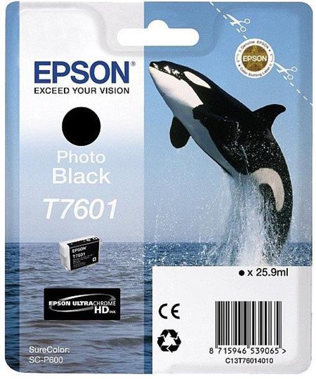 Epson T7601 Ink Cartridge Photo Black C13T76014010