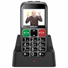 Evolveo EVOLVEO EasyPhone EB, mobilní telefon pro seniory s nabíjecím stojánkem (stříbrná barva)