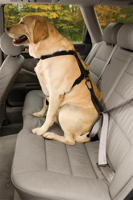 Kurgo Bezpečnostní autopás pro psa s ouškem Seatbelt Tether