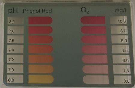 Marimex Tester na bezchlorovou chemii (O2)