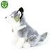 Rappa plyšový pes Husky sedící 30 cm ECO-FRIENDLY