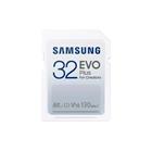 Samsung SDXC 32GB EVO PLUS