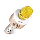 Technaxx PRO bluetooth karaoke mikrofon, 2x3W repro, LED RGB a funkcí TWS, zlatá/stříbrná (BT-X35)